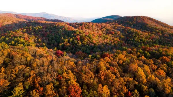  عکس پروفایل طبیعت پاییزی