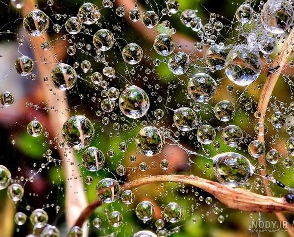  عکس قطره های باران