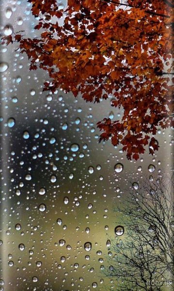  عکس قطره های باران
