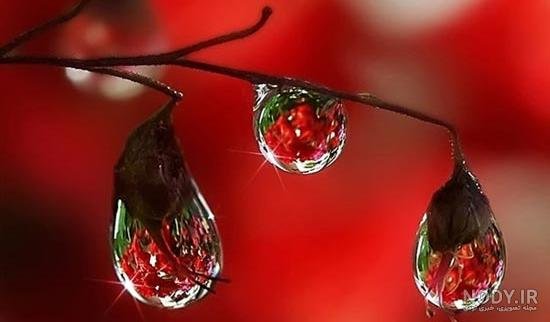  عکس قطره های باران