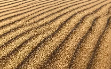  عکس کویر داغ زیبا