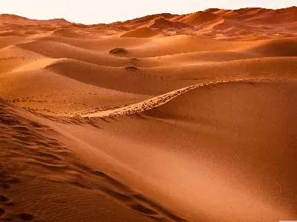  عکس کویر برای پروفایل