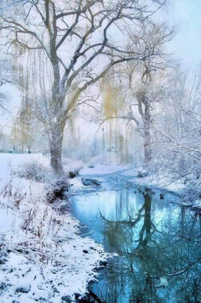  منظره زیبای برفی