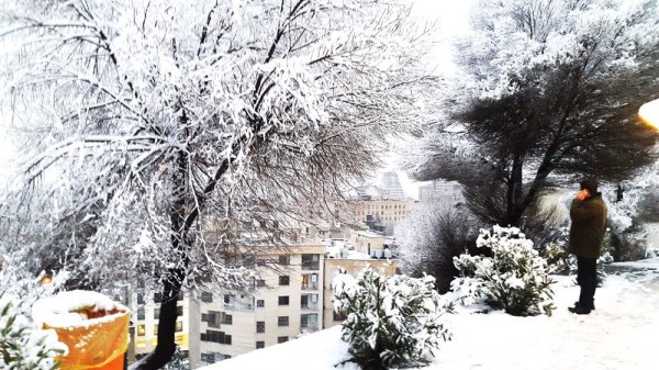  عکس خیابان های برفی