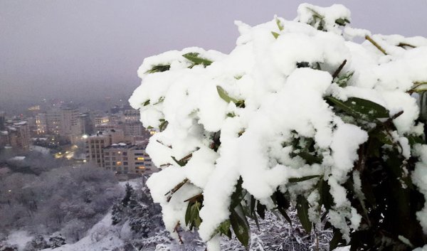  عکس خیابان های برفی