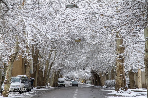  عکس خیابان های برفی