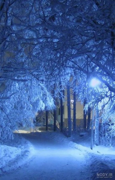  عکس طبیعت زمستانی برای پروفایل