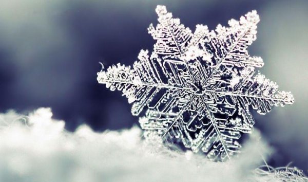  عکس طبیعت زمستانی برای پروفایل