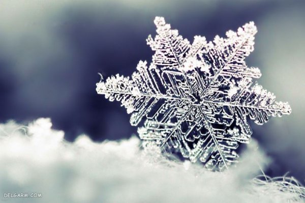  عکس طبیعت زمستانی برفی