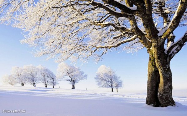  عکس طبیعت زمستانی برفی