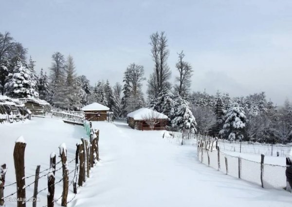  عکس طبیعت زمستانی برفی