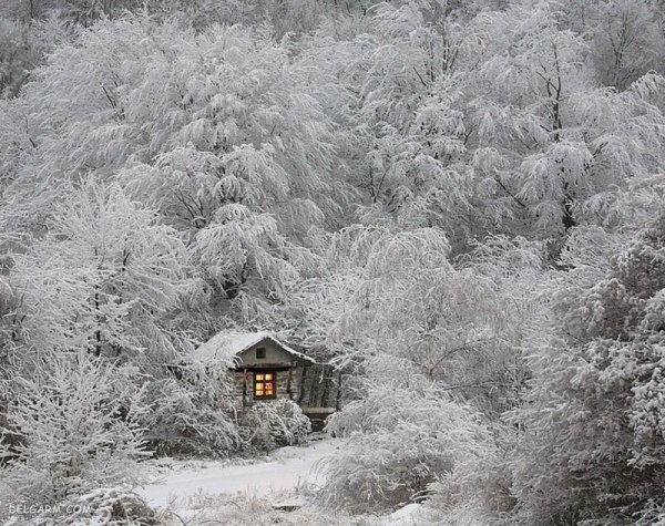 عکس زمستانی