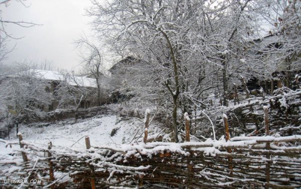  عکس زمستانی
