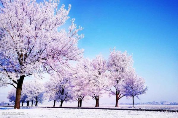  عکس زمستانی