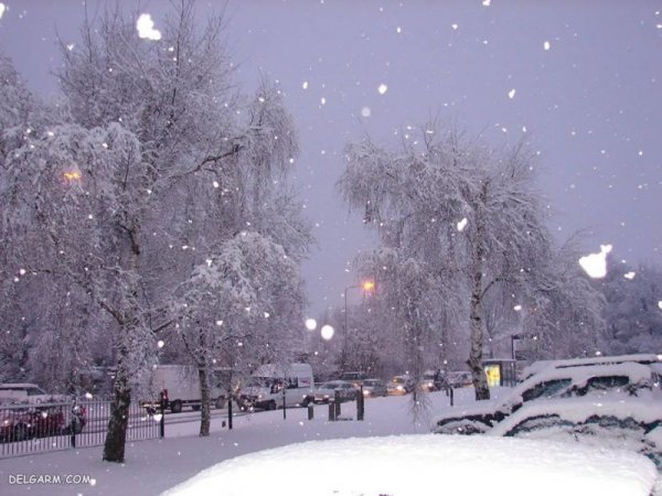  عکس زمستانی