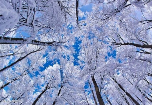 عکس یخ در زمستان