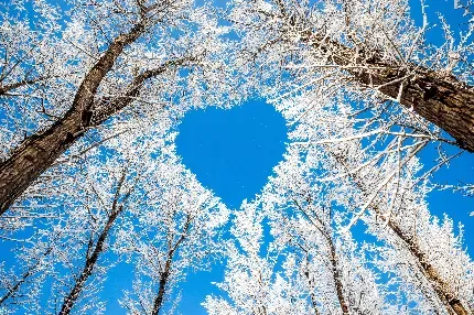  پروفایل شیک زمستان