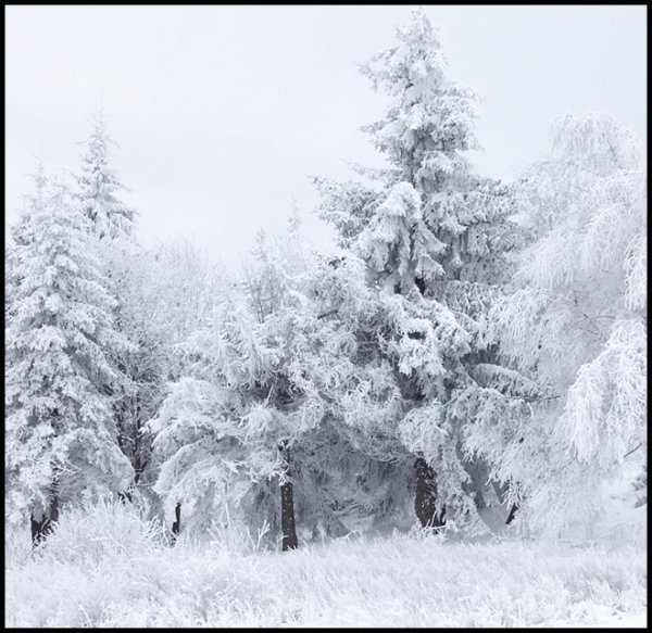  عکس طبیعت زمستانی اروپا