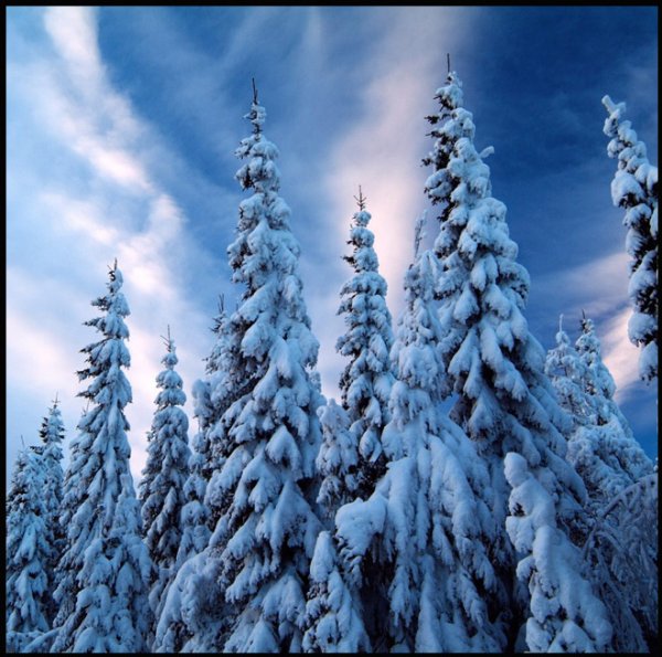  عکس طبیعت زمستانی اروپا