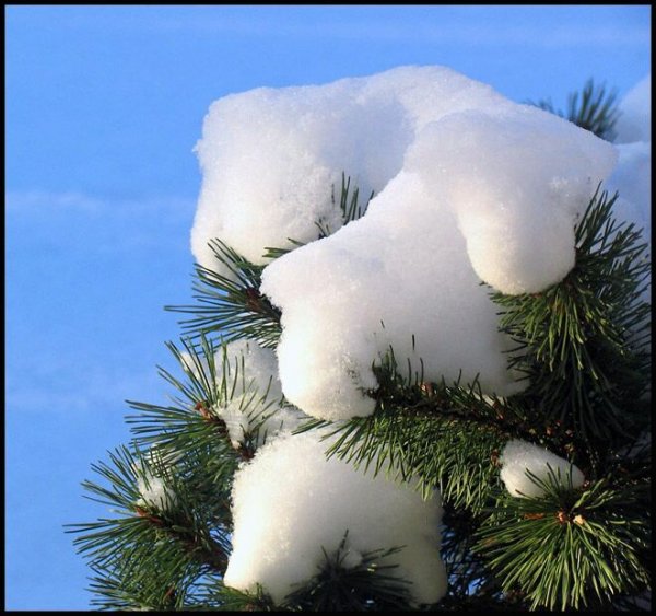  عکس طبیعت زمستانی اروپا