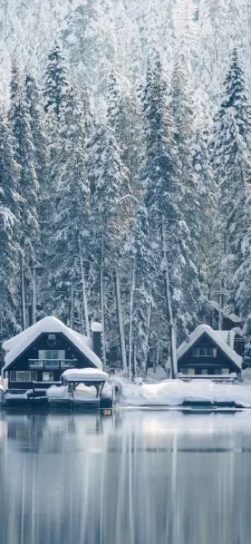  عکس جنگل برفی و زمستانی