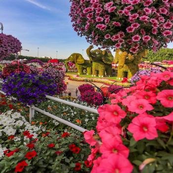 عکس پروفایل جنگل و طبیعت زیبا