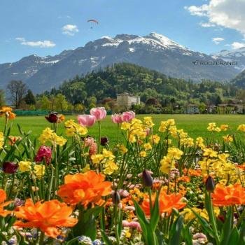  عکس پروفایل جنگل و طبیعت زیبا