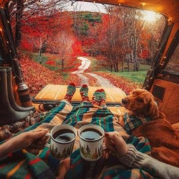  عکس پروفایل جنگل و طبیعت زیبا