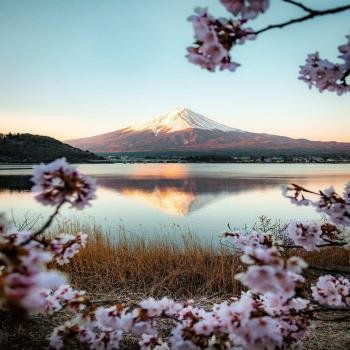  عکس پروفایل جنگل و طبیعت زیبا