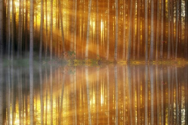  عکس کوه مه گرفته