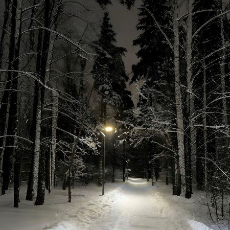  عکس از زمستان