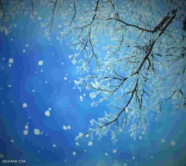 عکس زمستان برای اینستاگرام