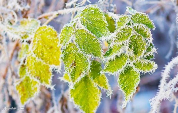  عکس زمستان برای اینستاگرام