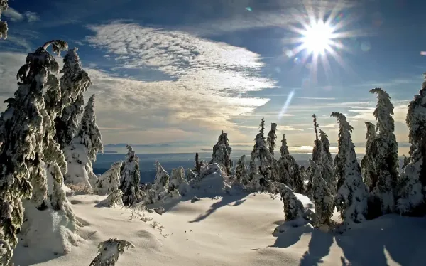  عکس زمستان برای وضعیت واتساپ