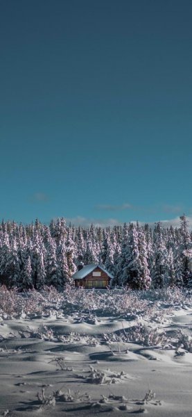 عکس منظره برفی برای پس زمینه گوشی