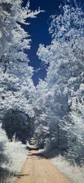  عکس منظره برفی برای پس زمینه گوشی