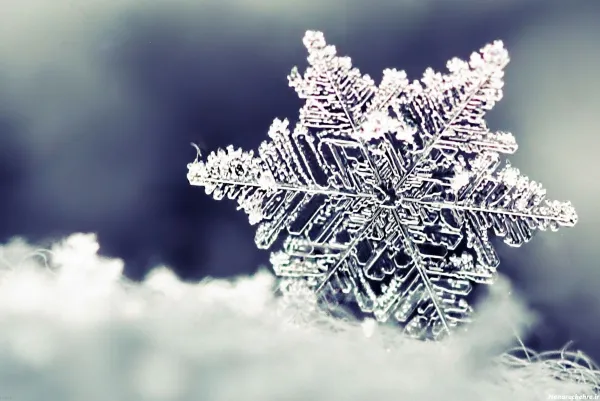  عکس های زیبای زمستان