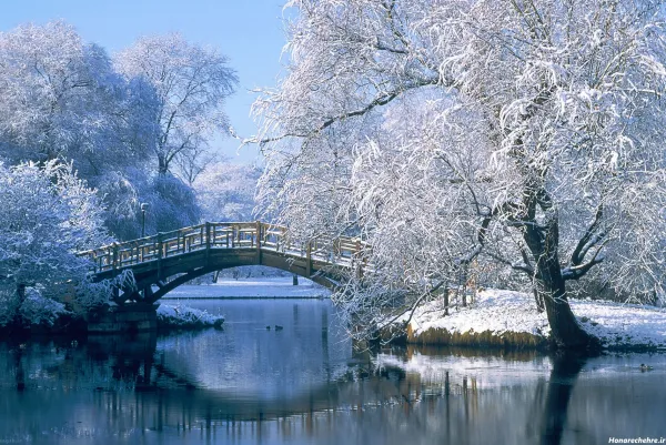  عکس های زیبای زمستان