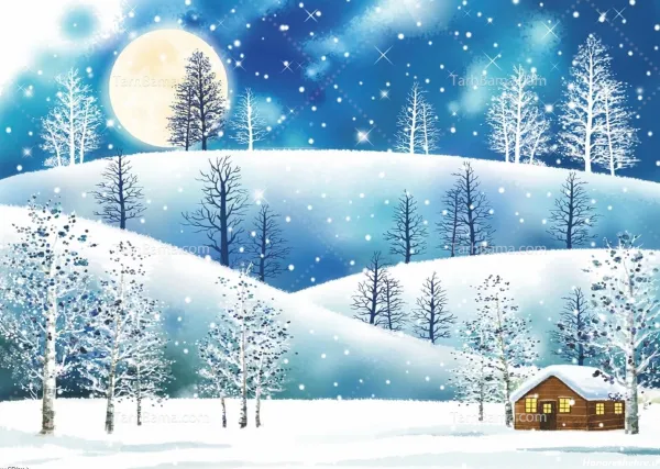  عکس های زیبای زمستان