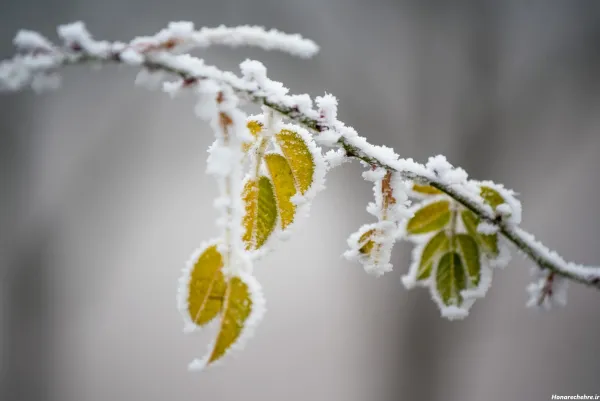  عکس های زیبای زمستان