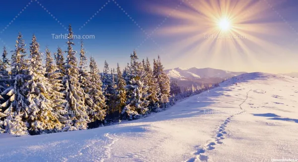  عکس های زیبای زمستان