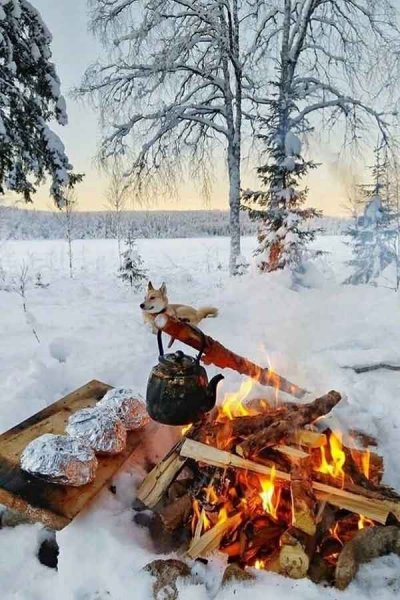  عکس پروفایل زمستون