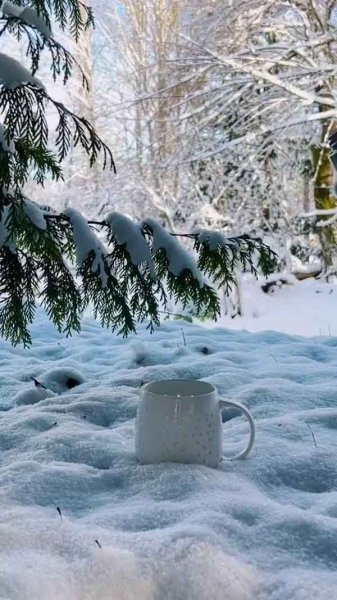  عکس پروفایل زمستون