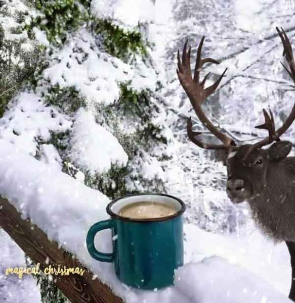  عکس زمستون برای اینستاگرام