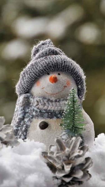  پروفایل زمستانی شیک