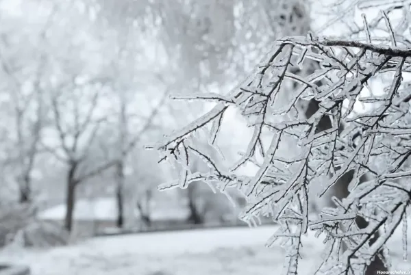  عکس های زمستانی