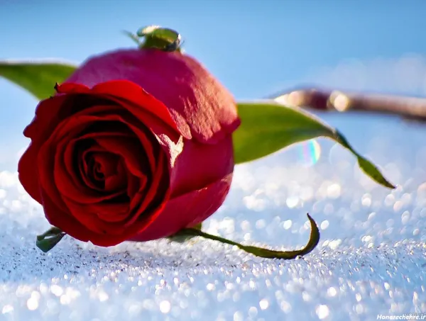  عکس های زمستانی