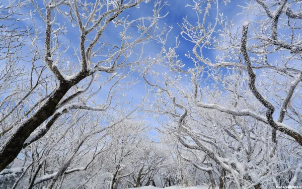  عکس های زمستانی