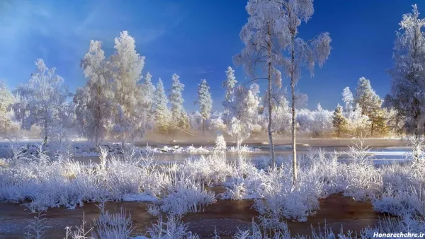  عکس های زمستانی