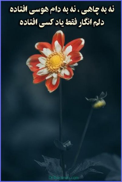  عکس هاي‌ عاشقانه برای اینستاگرام